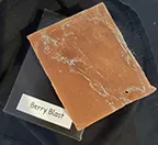 Berry Blast